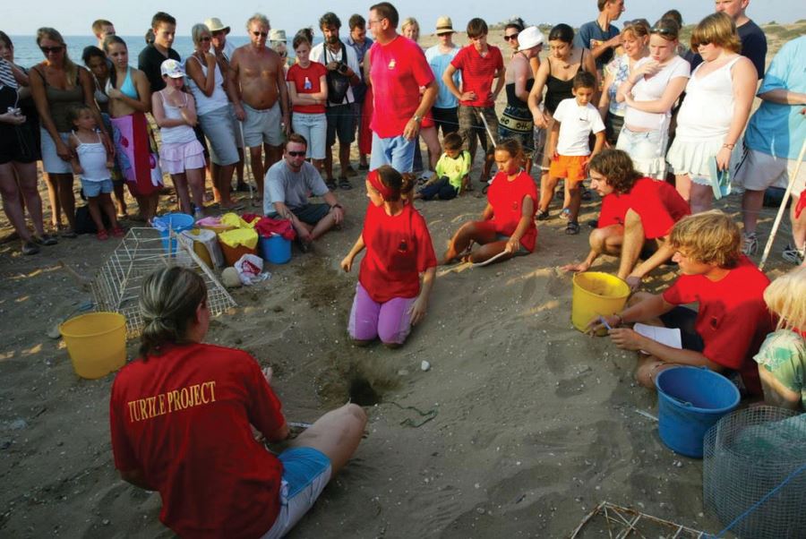 Ceratta Caretta Gozlemi